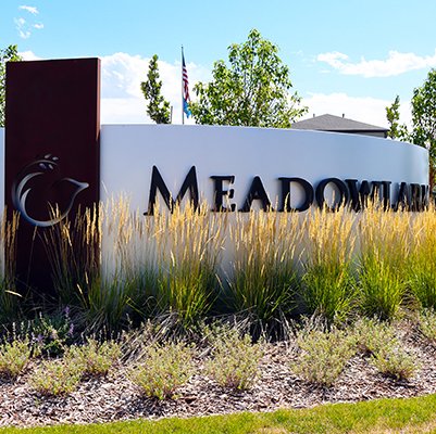 Meadowlark